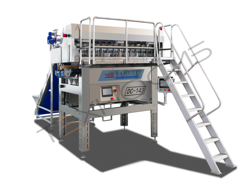 Комбинационный весовой дозатор для овощей и фруктов DC 143 Техно-Сиб - Купить с доставкой по всей России 