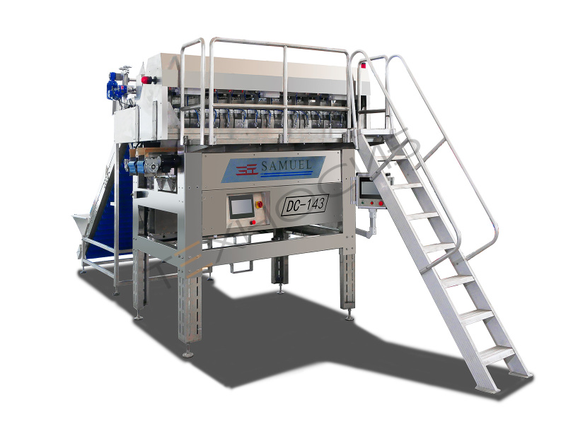 Комбинационный весовой дозатор для овощей и фруктов DC 143 Техно-Сиб - Купить с доставкой по всей России 