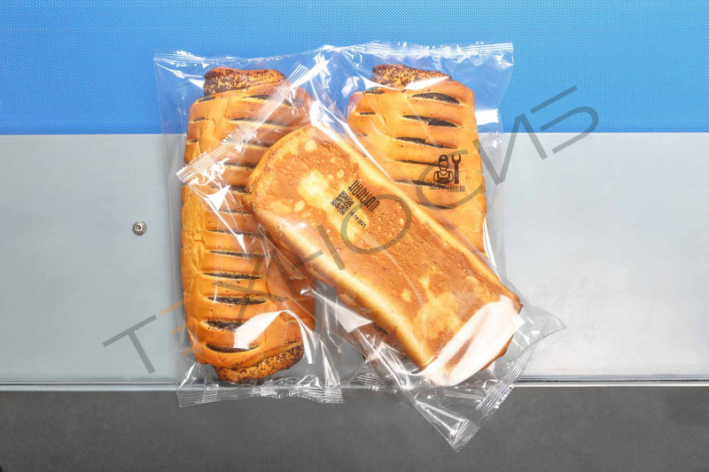 Встраиваемый ТТО принтер HL-X5 (53 мм, станина 500 мм для гориз. маш.) Техно-Сиб - Купить с доставкой по всей России 26