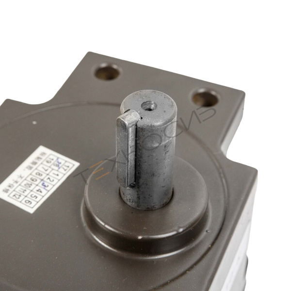 Мотор-редуктор для BSF-5545LE (5RK120GU-UF-T/5GS10-K) Техно-Сиб - Купить с доставкой по всей России 2