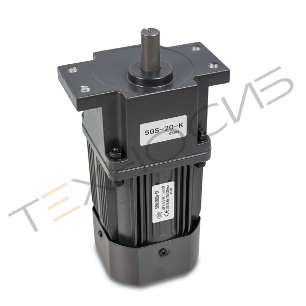 Мотор-редуктор 5RK60RGU-CF для BS-4535LA Техно-Сиб - Купить с доставкой по всей России 2