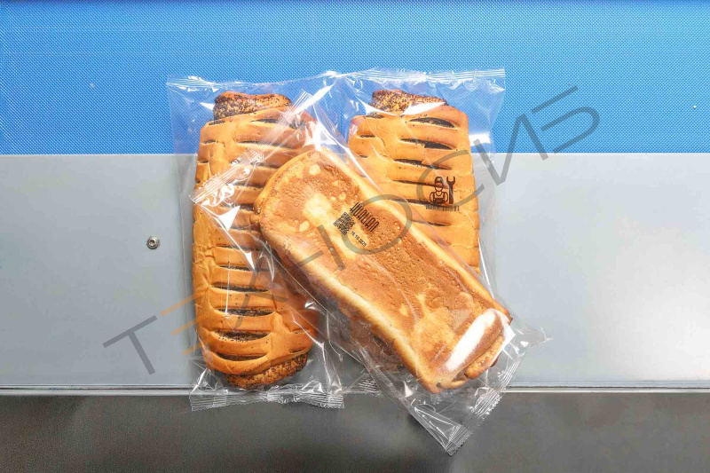 Встраиваемый ТТО принтер HL-X5 (53 мм, станина 500 мм для гориз. маш.) Техно-Сиб - Купить с доставкой по всей России 24