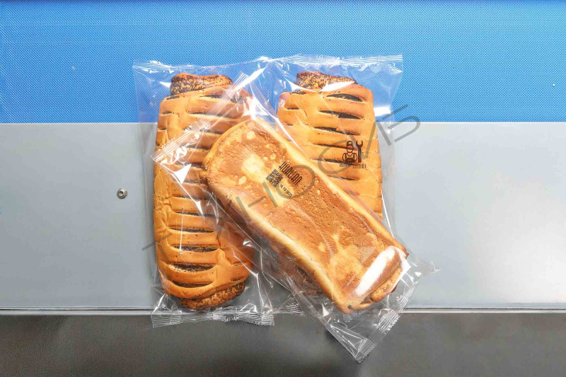 Встраиваемый ТТО принтер HL-X5 (53 мм, станина 500 мм для гориз. маш.) Техно-Сиб - Купить с доставкой по всей России 24