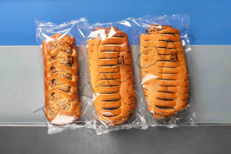 Встраиваемый ТТО принтер HL-X5 (53 мм, станина 500 мм для гориз. маш.) Техно-Сиб - Купить с доставкой по всей России 5