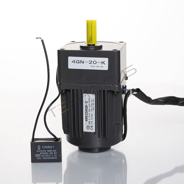 Мотор-редуктор 4RK25RGN-CF/4GN20-K (220 В) для конвейера BS-4525A Техно-Сиб - Купить с доставкой по всей России 