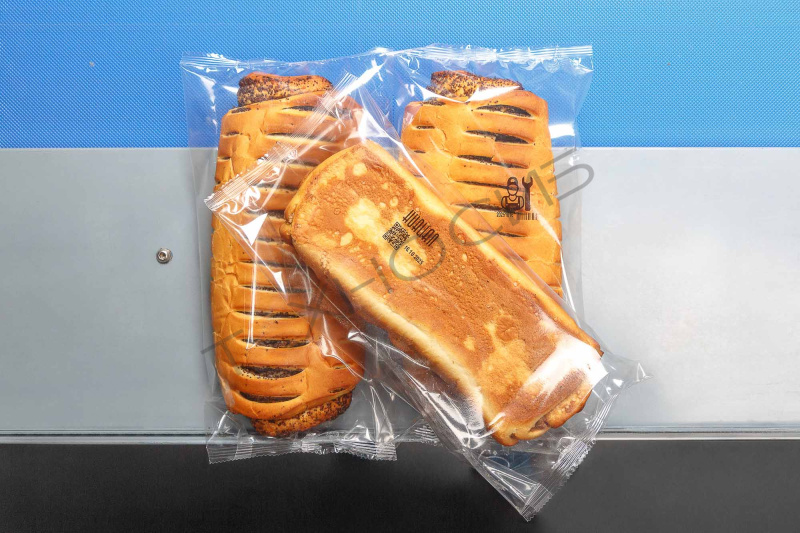 Встраиваемый ТТО принтер HL-X5 (53 мм, станина 500 мм для гориз. маш.) Техно-Сиб - Купить с доставкой по всей России 25