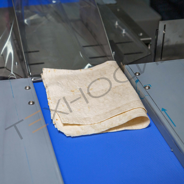 Горизонтальная упаковочная машина DXDZ-600XD (лент. 250 мм, рег.форм., S 400, L 180-500, H-120) Техно-Сиб - Купить с доставкой по всей России 20