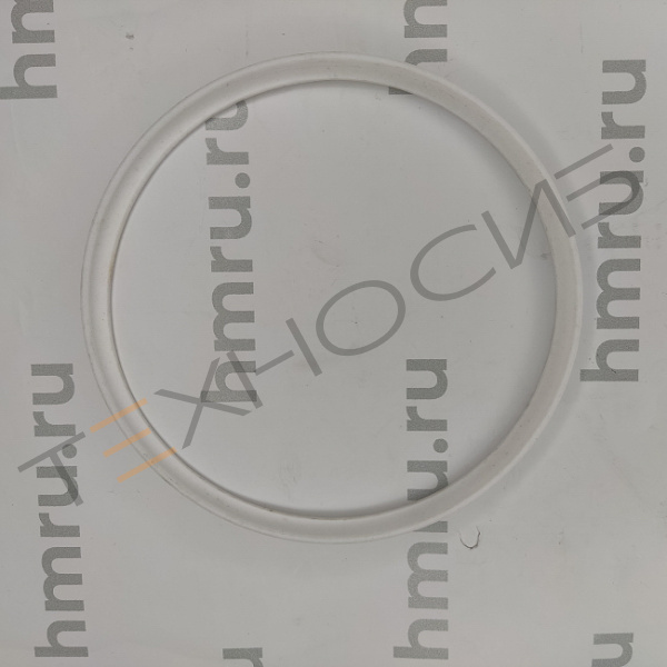 Уплотнительное кольцо PTFE на дозирующий поршень для PPF/LPF-5000 Техно-Сиб - Купить с доставкой по всей России 