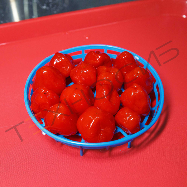 Гидравлический шприц SF-150 Техно-Сиб - Купить с доставкой по всей России 2