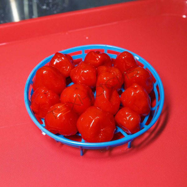 Гидравлический шприц SF-150 Техно-Сиб - Купить с доставкой по всей России 2