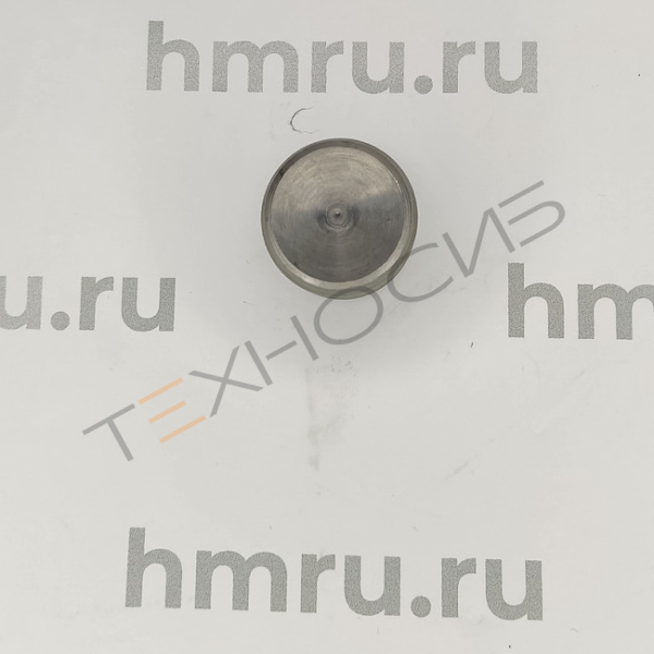 Поршень для LPF/PPF-100(T) стандартный Техно-Сиб - Купить с доставкой по всей России