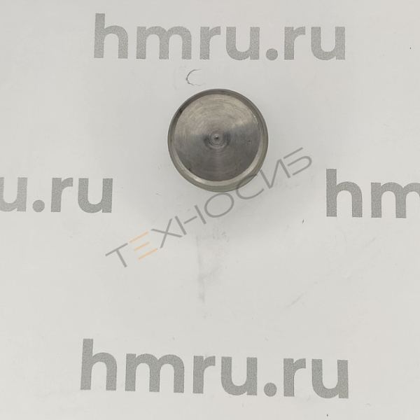 Поршень для LPF/PPF-100(T) стандартный Техно-Сиб - Купить с доставкой по всей России 