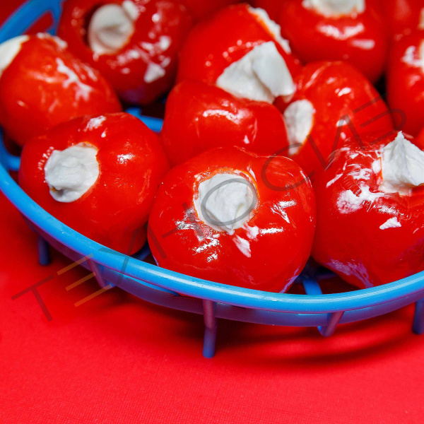 Гидравлический шприц SF-150 Техно-Сиб - Купить с доставкой по всей России 14