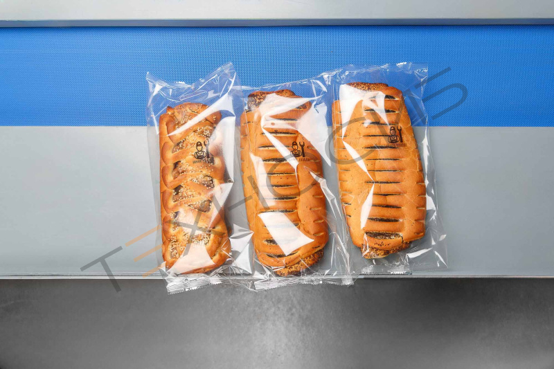 Встраиваемый ТТО принтер HL-X5 (53 мм, станина 500 мм для гориз. маш.) Техно-Сиб - Купить с доставкой по всей России 4