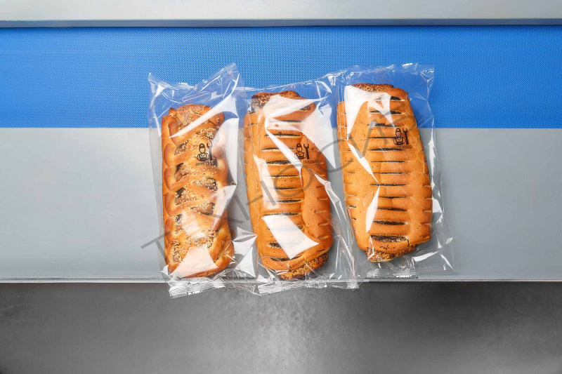 Встраиваемый ТТО принтер HL-X5 (53 мм, станина 500 мм для гориз. маш.) Техно-Сиб - Купить с доставкой по всей России 4