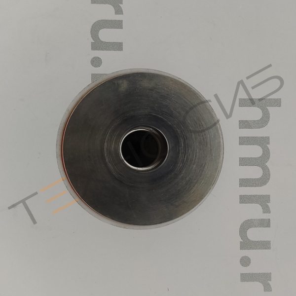 Поршень с кольцами (PTFE) для LPF/PPF-500(T) Техно-Сиб - Купить с доставкой по всей России 2