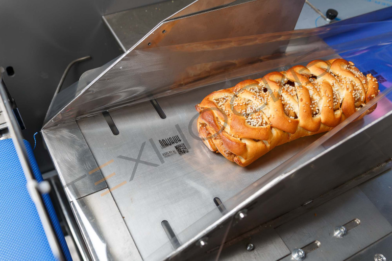 Встраиваемый ТТО принтер HL-X5 (53 мм, станина 500 мм для гориз. маш.) Техно-Сиб - Купить с доставкой по всей России 16