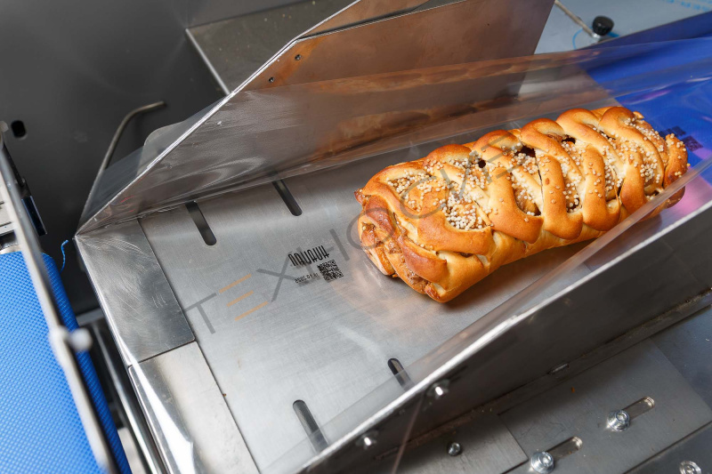 Встраиваемый ТТО принтер HL-X5 (53 мм, станина 500 мм для гориз. маш.) Техно-Сиб - Купить с доставкой по всей России 16