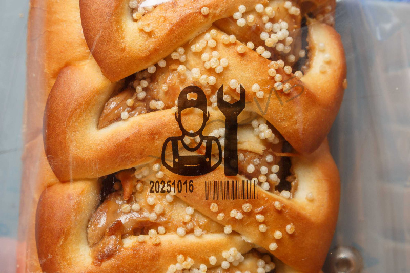 Встраиваемый ТТО принтер HL-X5 (53 мм, станина 500 мм для гориз. маш.) Техно-Сиб - Купить с доставкой по всей России 8