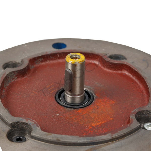 Эл.двигатель (5АИ 56 В2 0.25/3000 IM 2081) Техно-Сиб - Купить с доставкой по всей России 3