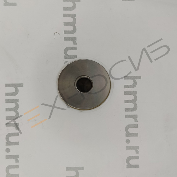 Поршень с кольцами (PTFE) для LPF/PPF-250(T) Техно-Сиб - Купить с доставкой по всей России 2