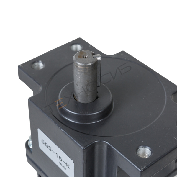Мотор-редуктор 5RK90GU-CF/5GS15-K для FXJ-4040A/FXJ-6050/DZF-5050 Техно-Сиб - Купить с доставкой по всей России 2