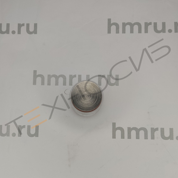 Поршень с кольцами (PTFE) для LPF/PPF-100(T) Техно-Сиб - Купить с доставкой по всей России 14