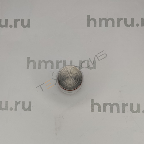 Поршень с кольцами (PTFE) для LPF/PPF-100(T) Техно-Сиб - Купить с доставкой по всей России 14