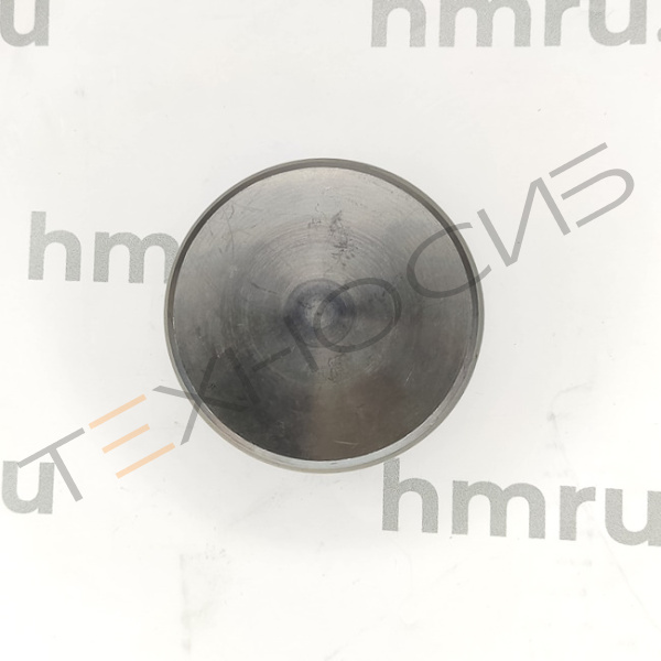 Поршень для LPF/PPF-1000(T) стандартный Техно-Сиб - Купить с доставкой по всей России 9